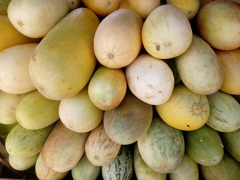 13 Different Types Of Melons Plus Essential Facts Trees Com 13 Different Types Of Melons Plus Essential Facts Trees Com