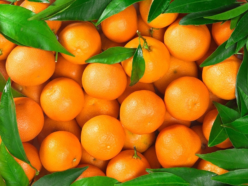 Tangerine