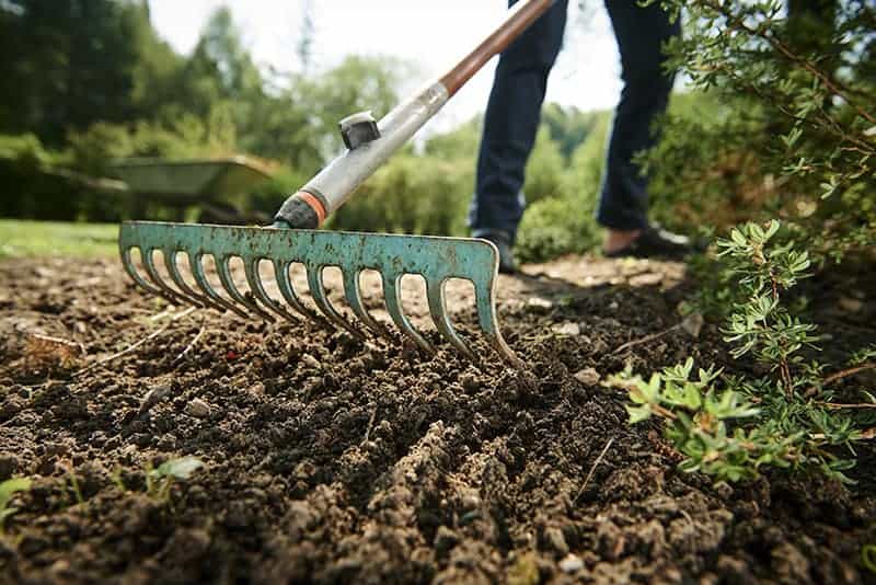 Garden Rake