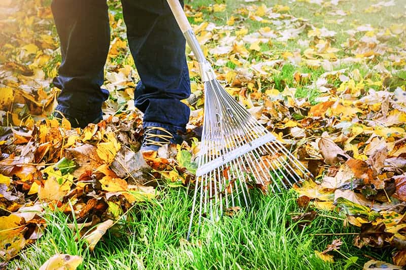 Landscape Rake