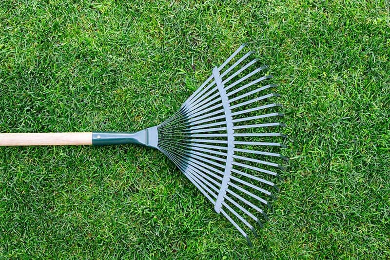 Plastic Garden Rake Strong Flexible Head Lawn Grass Leaf Hand Tool Gardering