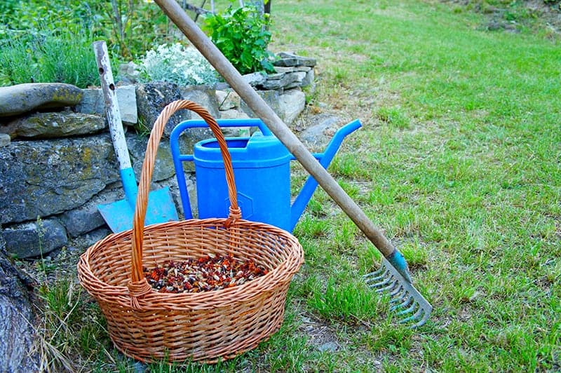 Stone Rake