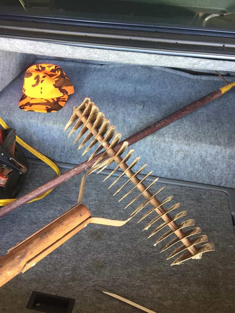 Thatch Rake