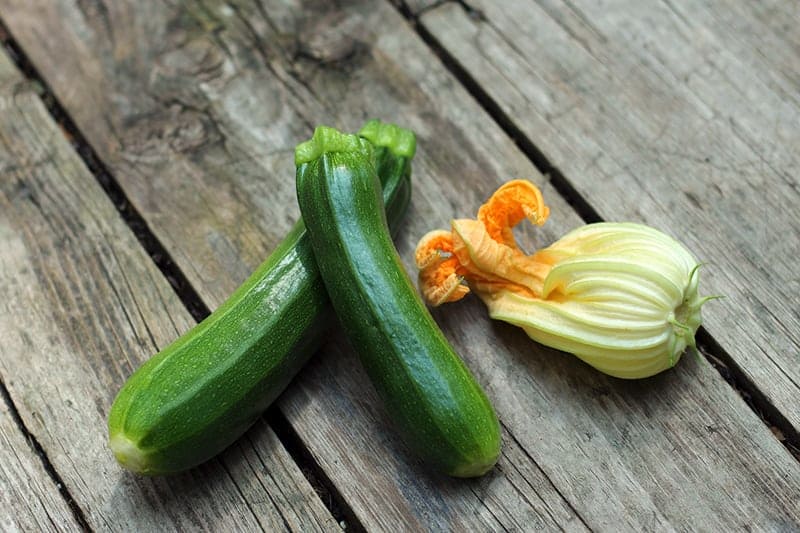 Black Beauty Zucchini