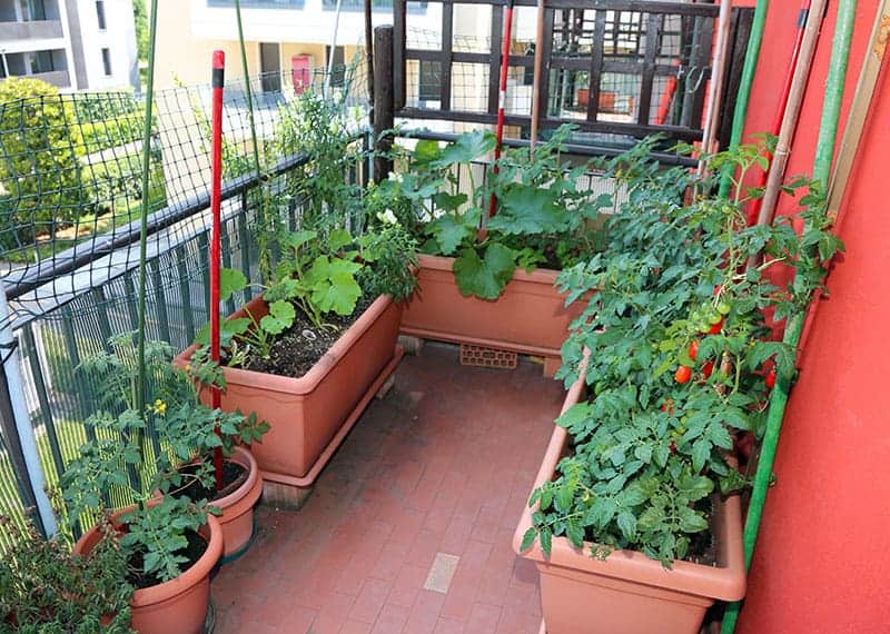 Busy Balcony