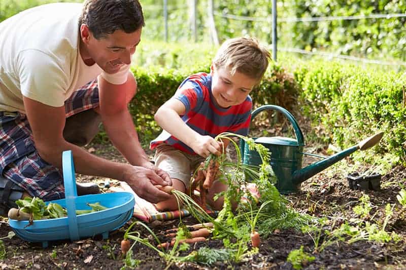 Children's Veg Garden