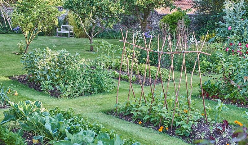 Featured image of post Backyard Vegetable Garden Ideas For Small Yards : If your garden is small it's important to make the best use of the space you have with clever planting techniques and the right.