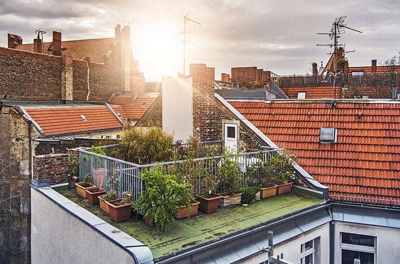 Green Roof