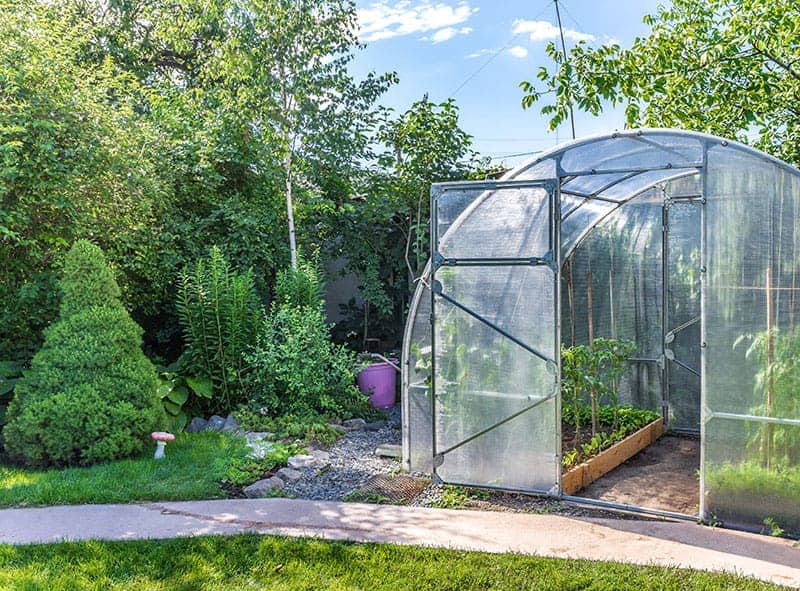 25 Incredible Vegetable Garden Ideas, Greenhouse Vegetable Garden Ideas
