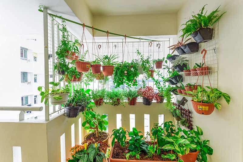 25 Incredible Vegetable Garden Ideas