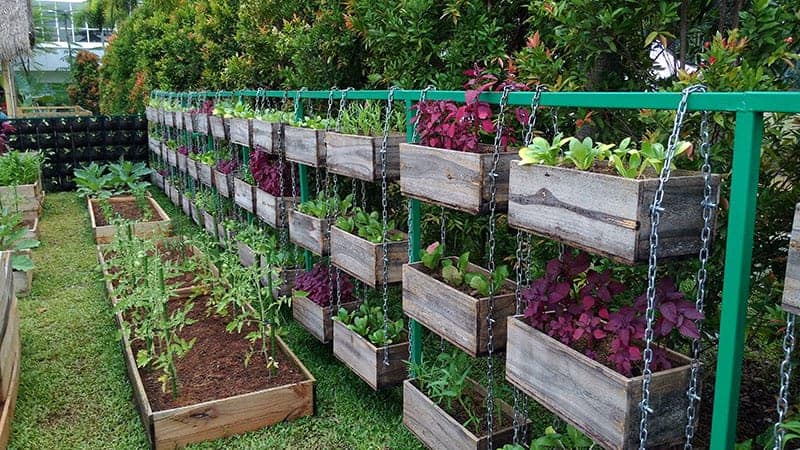 creative vegetable garden design