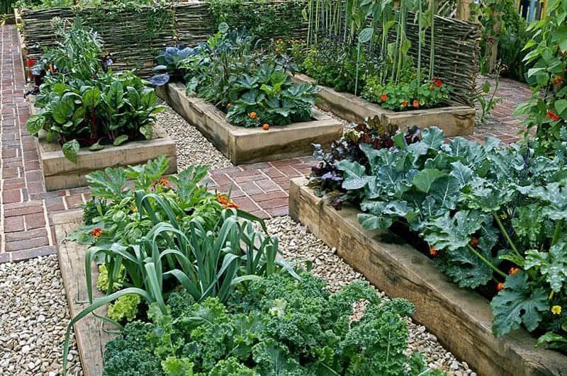 Raised Beds