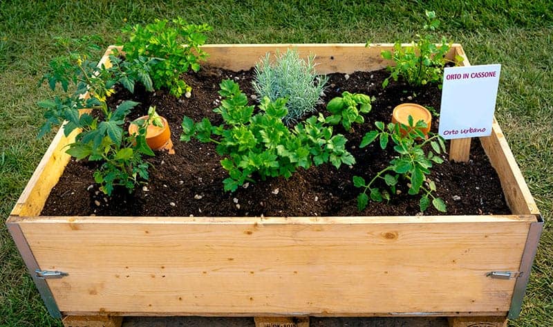 Urban Gardening Box