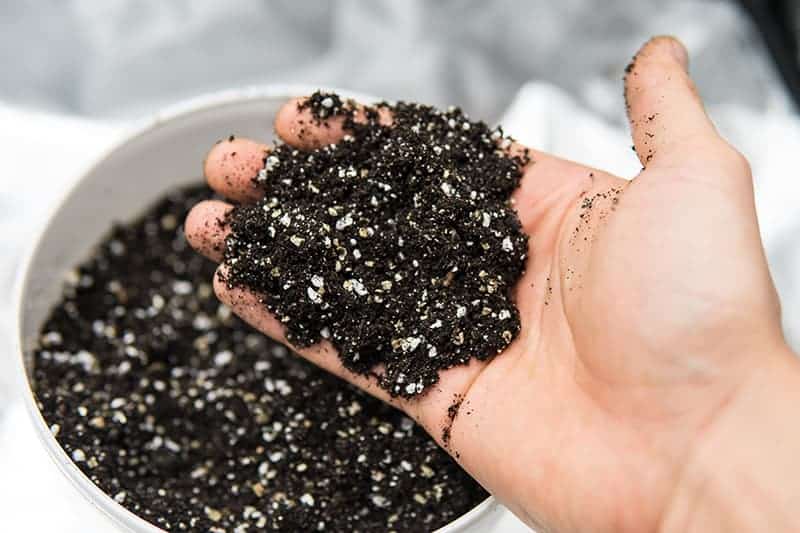 Vermiculite mix for soil improvement