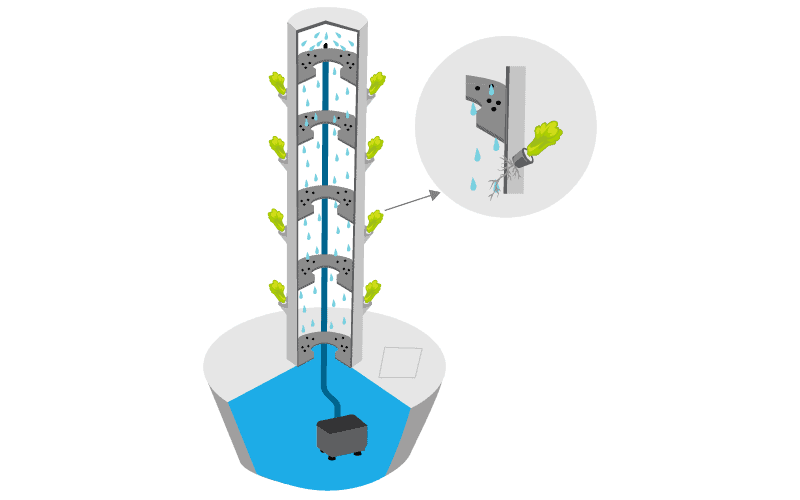 Vertical Hydroponic System