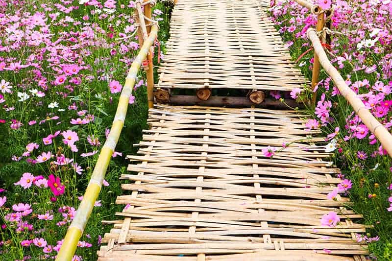 Bamboo Bridge Bamboo Bridge