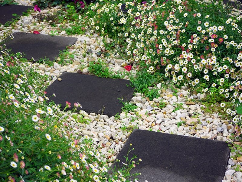 Contrasting Concrete Contrasting Concrete