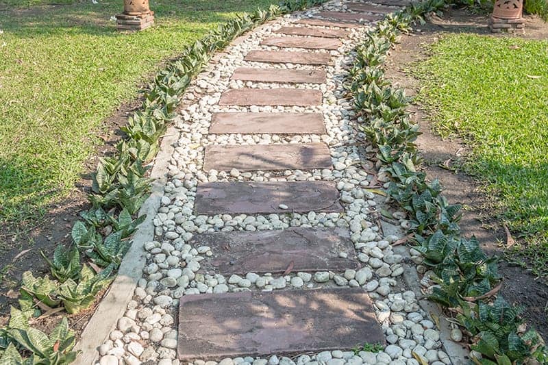 Plant-Lined Passageway