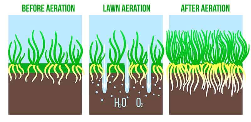 What is lawn aeration