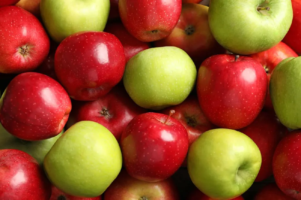 Green Apple, Granny Smith Golden Bay Fruit Orchards, NZ