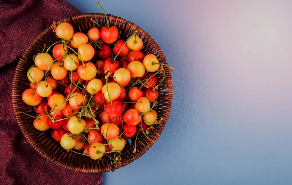 2-in-1 Cherry Surprise Tree