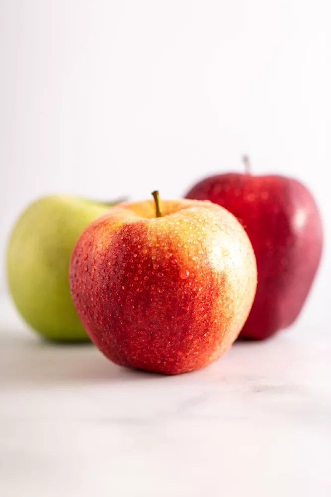 Fuji Apple, Malus domestica 'Fuji', Monrovia Plant