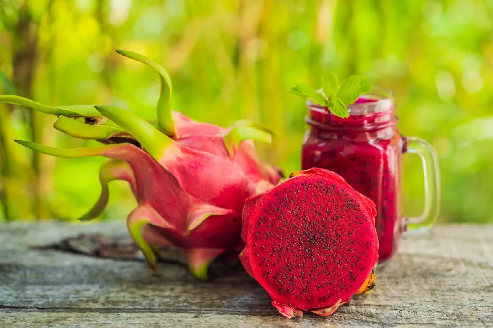 American Beauty Dragon Fruit