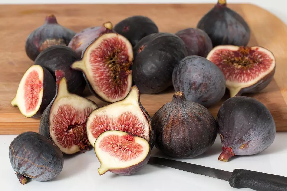 Black Mission Fig