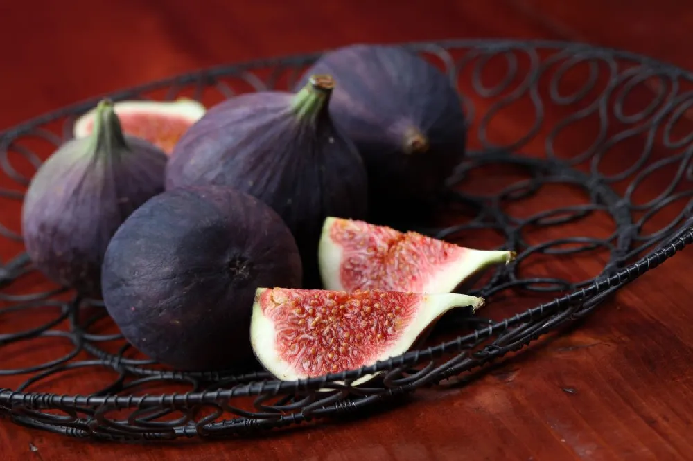 Black Mission Fig