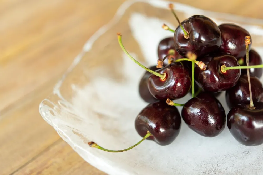 Black Tartarian Cherry Tree