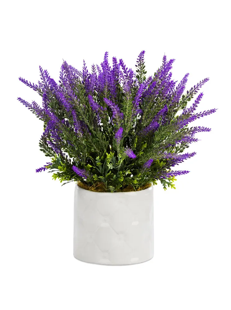 Blooming Lavender Gift