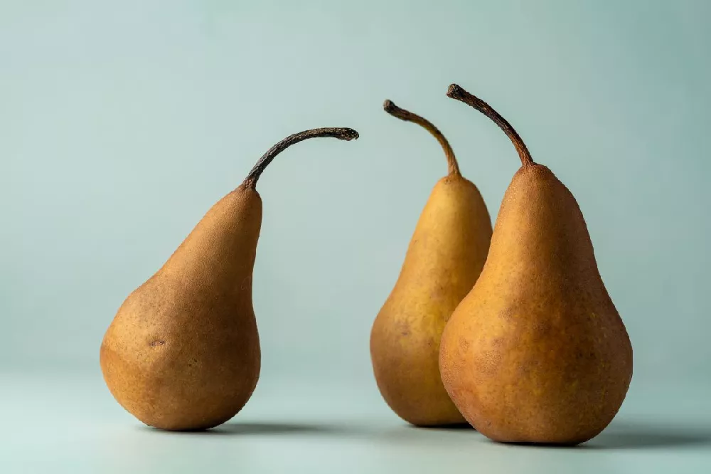 Bosc Pears