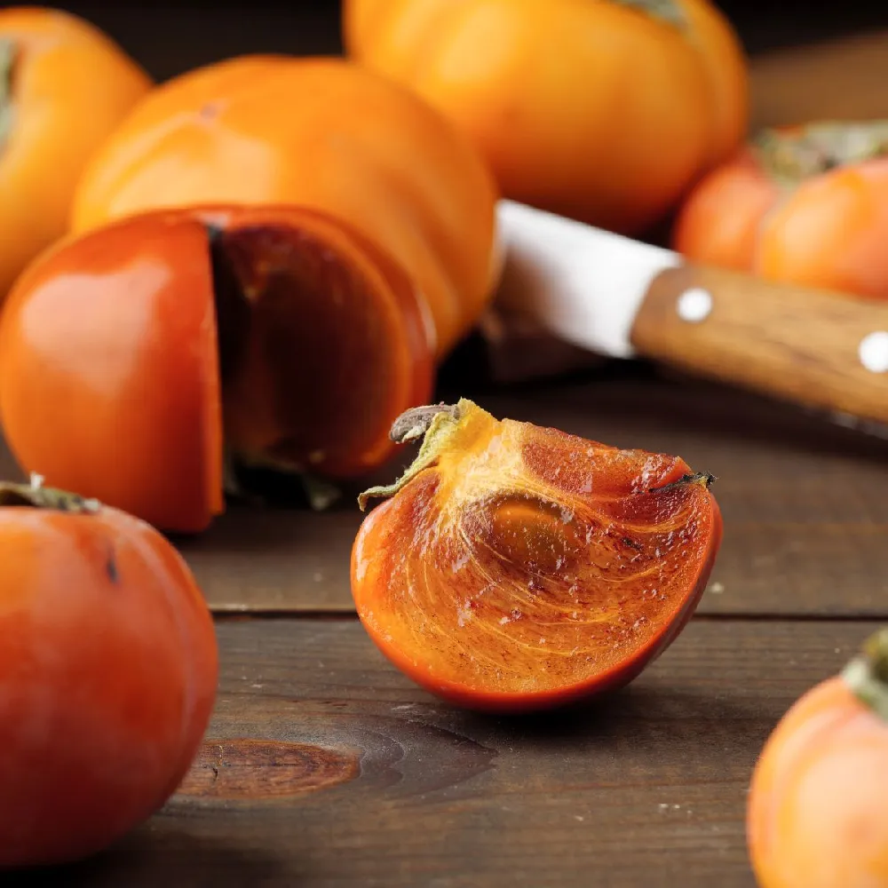 Chocolate Persimmon Tree