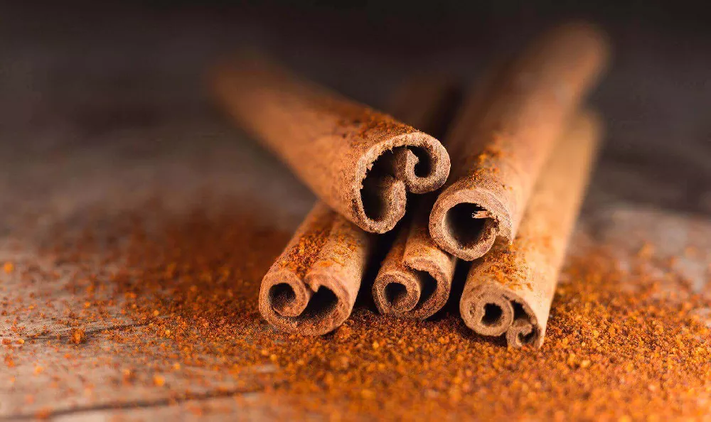 Cinnamon-Tree-3