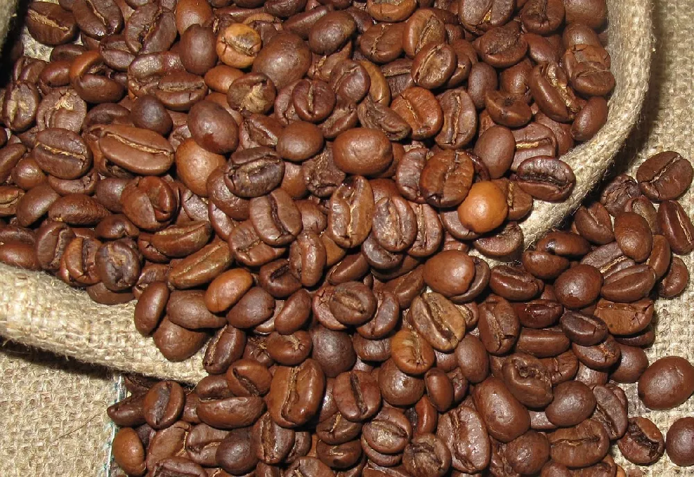 Coffee beans