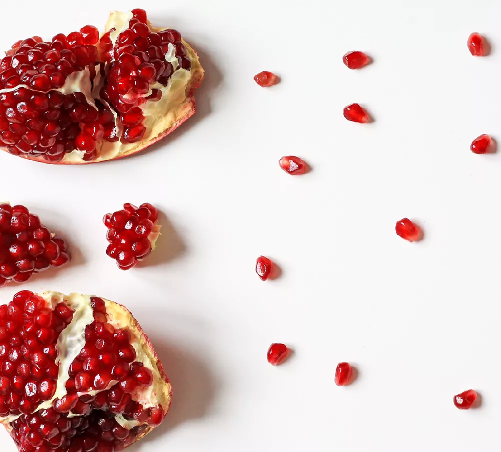 Cold-Hardy Red Pomegranate