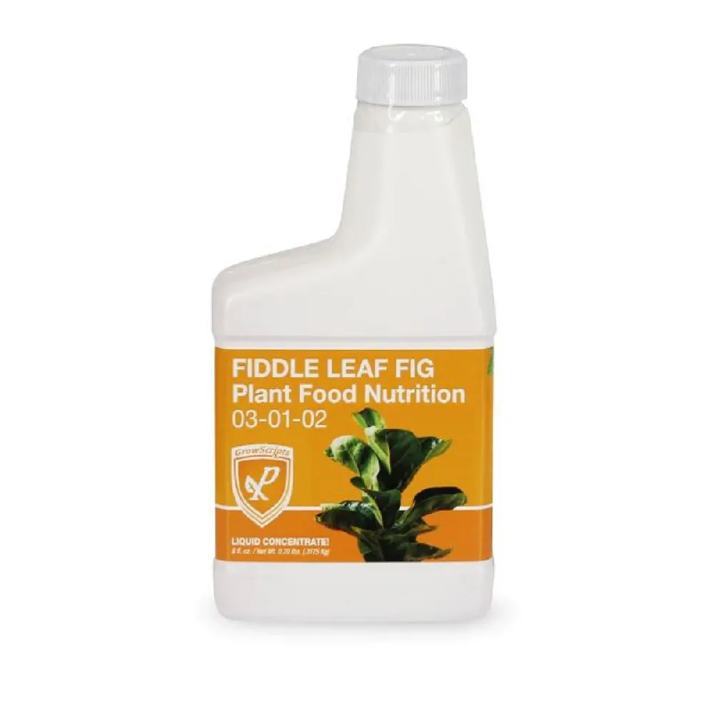 Fiddle Leaf Fig Fertilizer