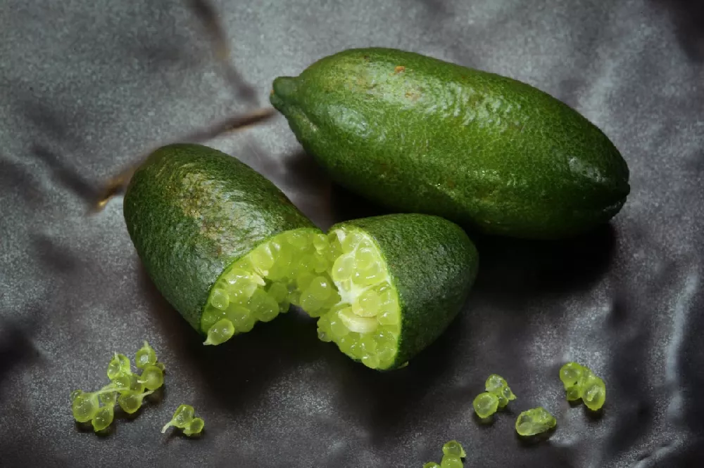 Finger Lime fruits