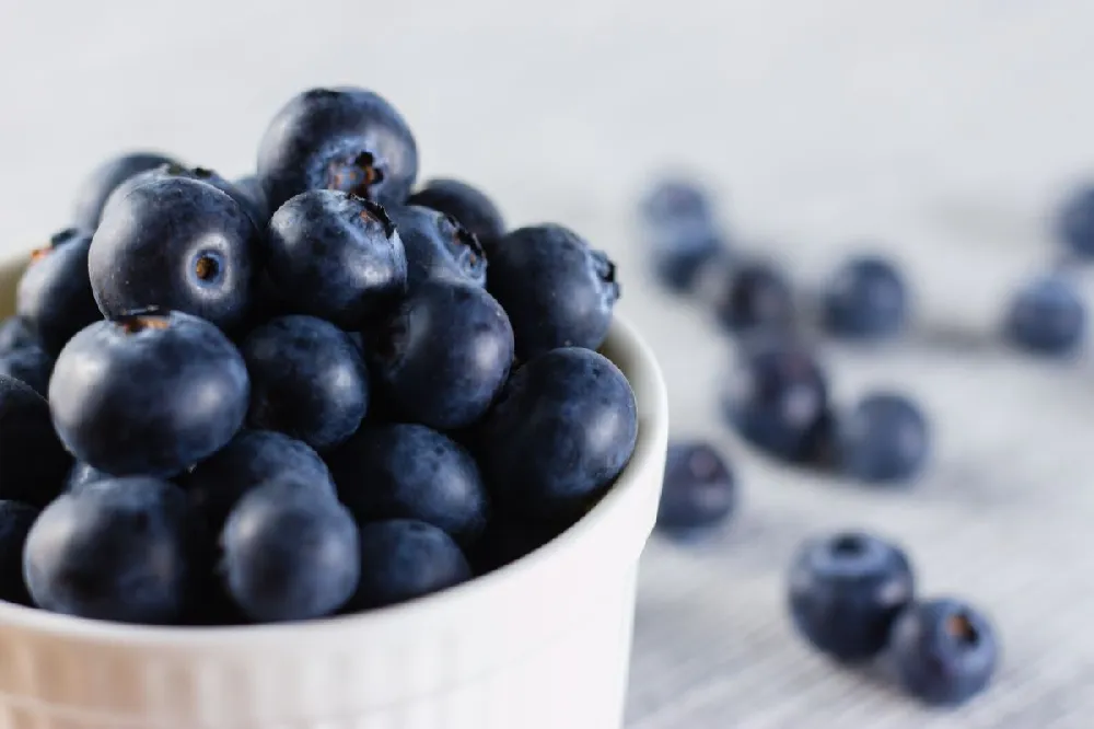 Free Blueberry Bush