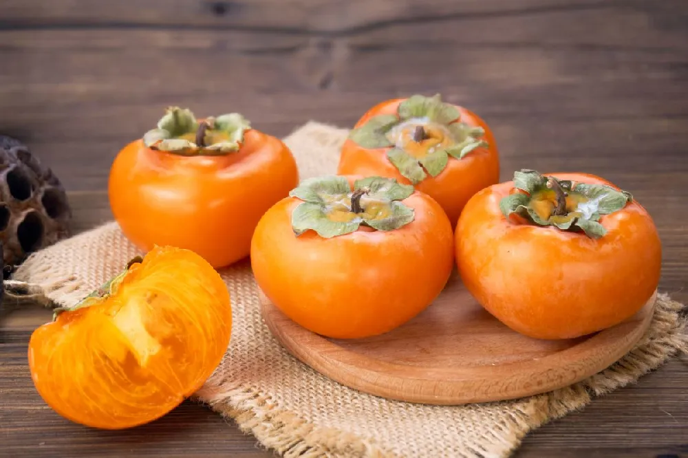 Giant Fuyu Persimmon Tree