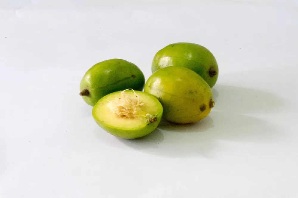 JunePlumTree fruit