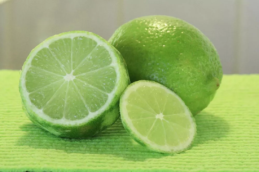 Key Lime sliced