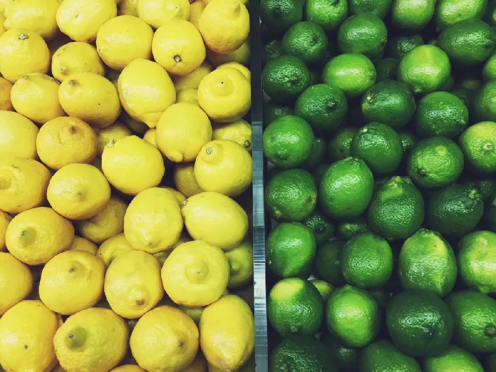 Lemon-Lime Citrus Bush