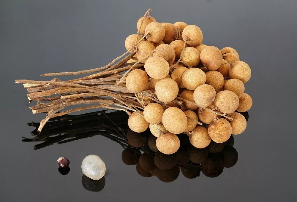 Longan fruit