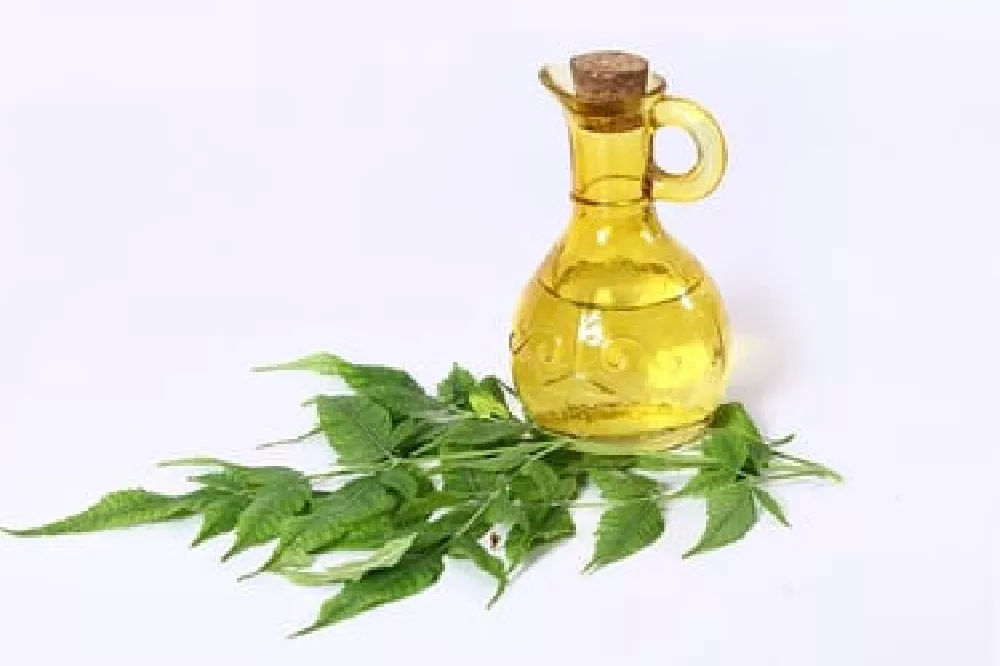 Neem Oil