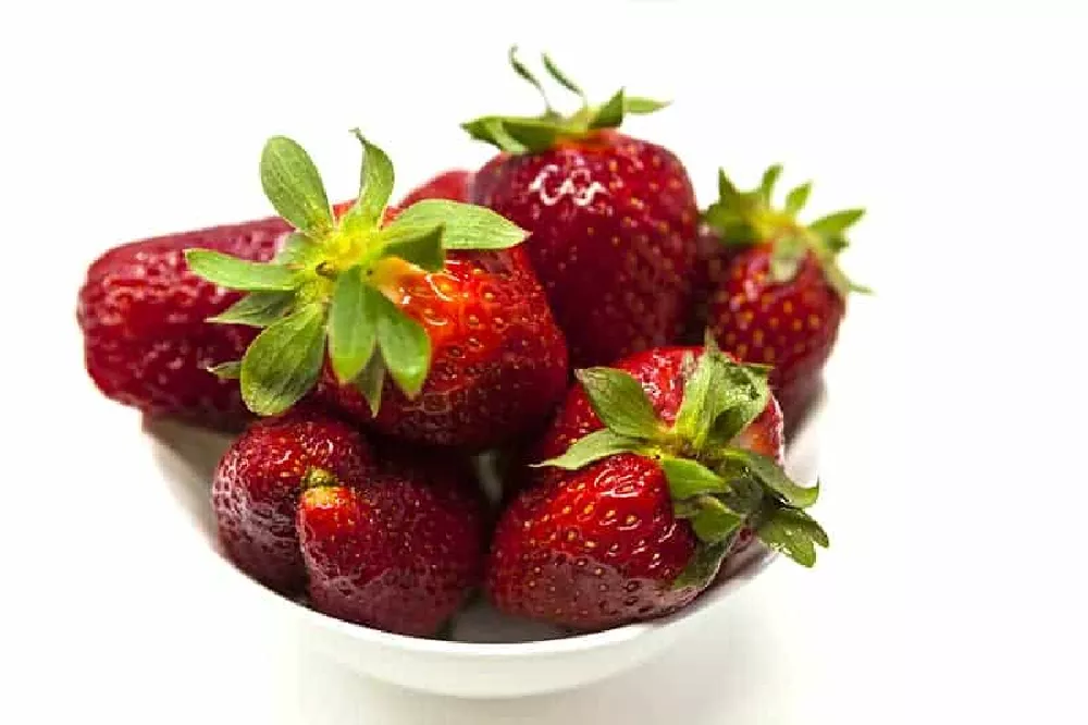Ozark Strawberrry