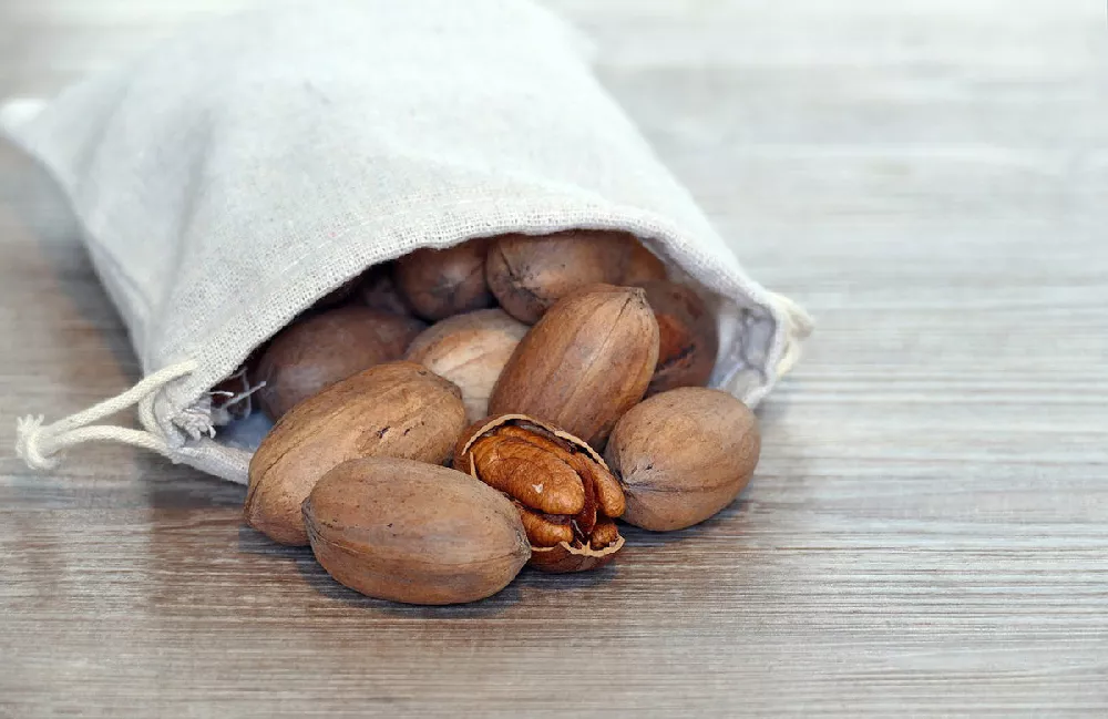 Pawnee Pecan nuts