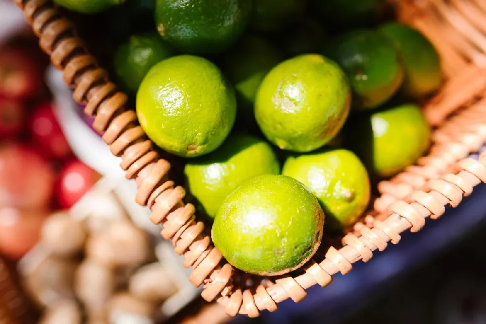 Persian Bearss Lime fruits