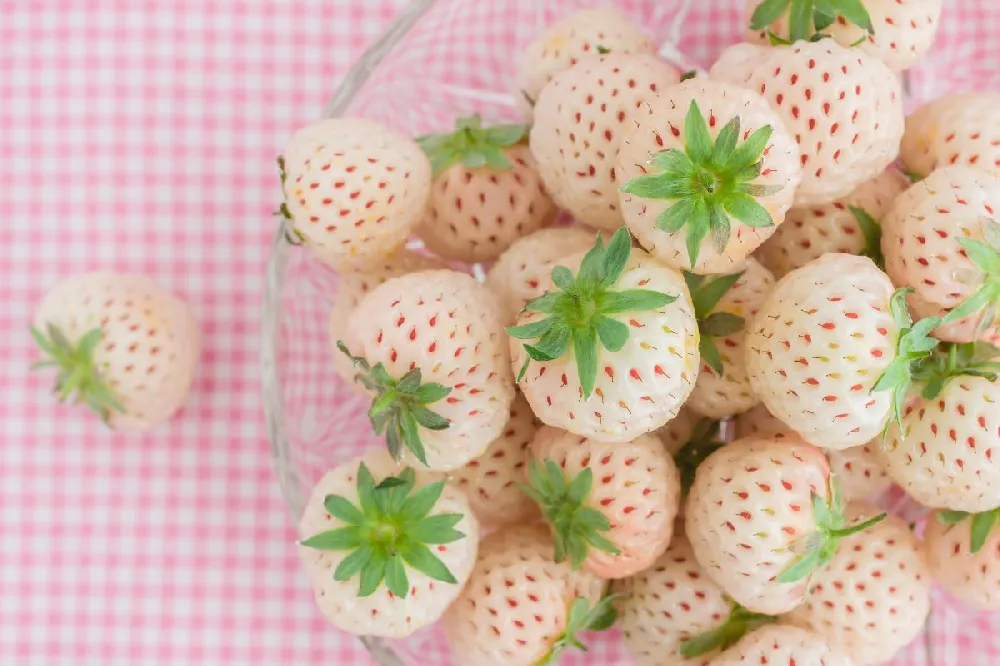 Wonderful™ Pineberry