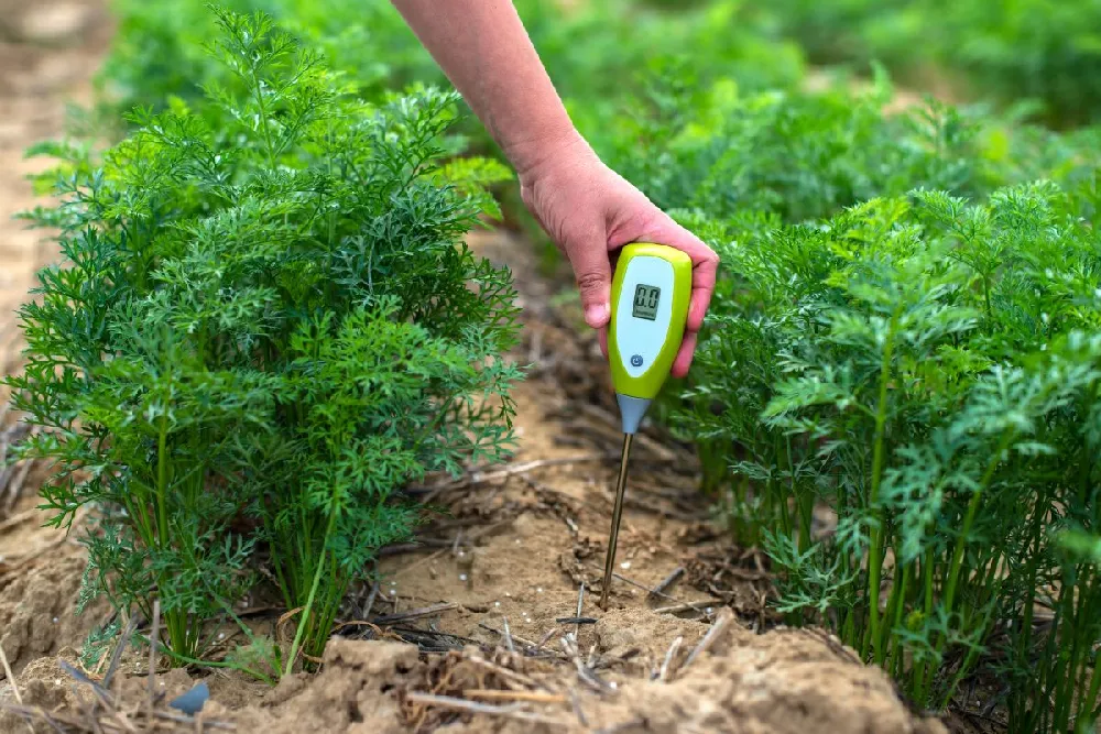   Rapitest Digital Soil pH Meter
